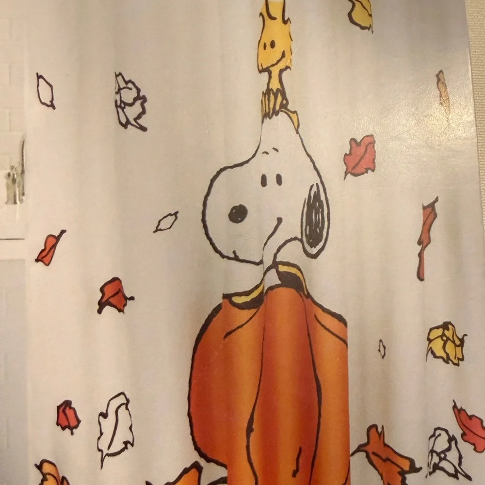 Peanuts shower curtain